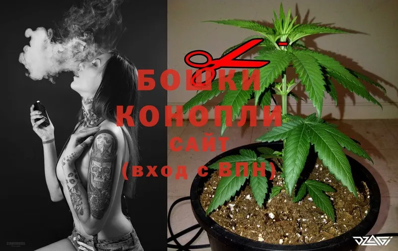 Конопля Bruce Banner  цены наркотик  Новозыбков 